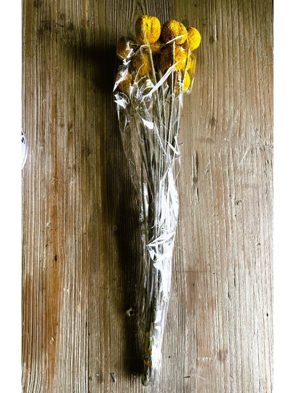 Natural Dried Craspedia Billy Buttons Yellow Floral Stems 30 Pcs 15.7" Tall Vase